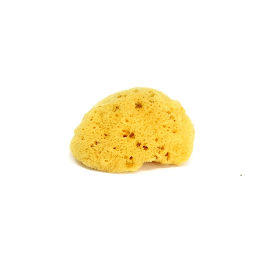 Natural fine pore sponge, Ok Baby