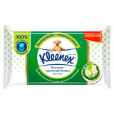 Carta igienica bagnata Skin Kind 38 pezzi, Kleenex