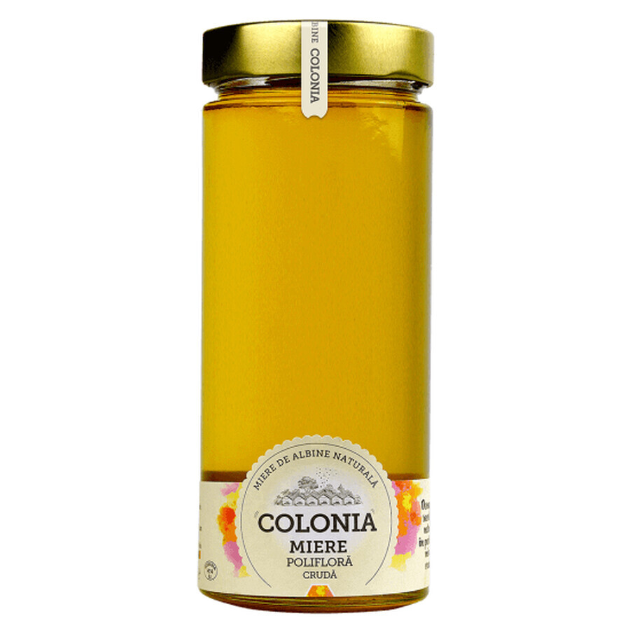 Raw polyfloral honey, 800 g, Cologne