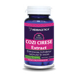 Cherry stems extract, 60 capsules, Herbagetica