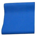 2463 Exercise band (blue)