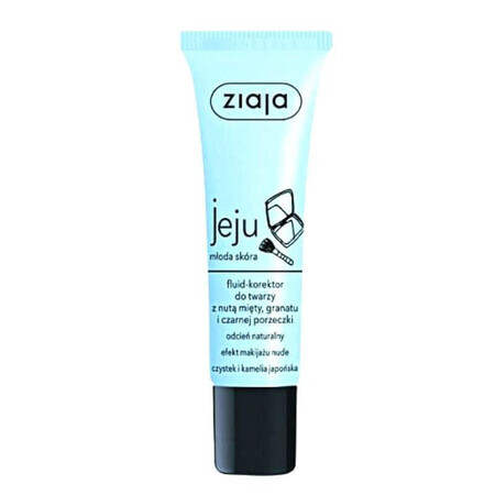 Ziaja Jeju Blue - Crema colorante tono naturale 30 ml