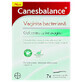 Canesbalance, gel per uso intravaginale per trattare i sintomi della vaginite batterica, 7 applicatori preriempiti con gel, Bayer