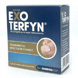 Exoterfyn medicated nail varnish, 78.22 mg/ml, 3.3 ml, Sandoz