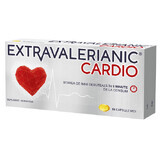 Extravalerianic Cardio, 15 capsules, Biofarm