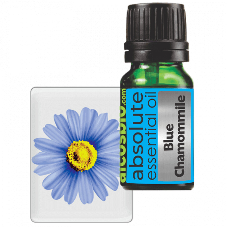 Olio essenziale di camomilla blu, 5 ml, Alcos Bioprod