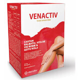 Venactiv, 60 capsule, Dietmed