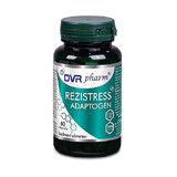 Resistres adattogeno, 60 cps, Dvr Pharm