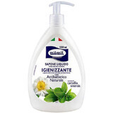 Sapone liquido igienizzante, 1000 ml, Milmil