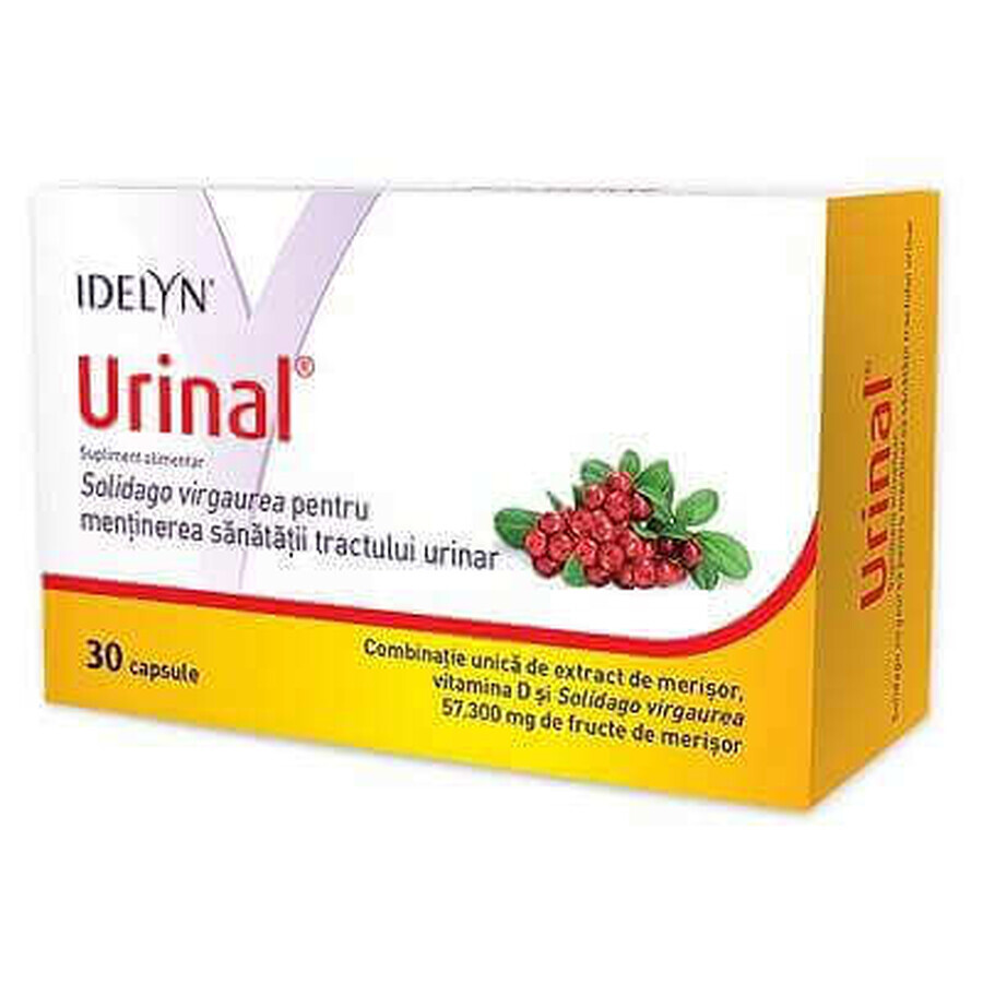 Idelyn Urinal, 30 capsules, Walmark