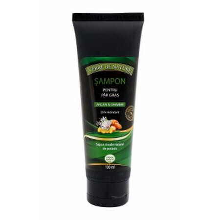 Shampoo per capelli grassi con argan, zenzero e complesso vegetale 100 ml, Verre de Nature