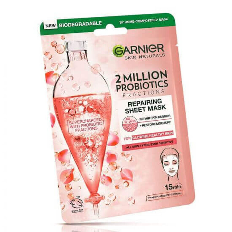 Skin Naturals Probiotic Enriched 2 Million Probiotic Fraction Mask, 22 g, Garnier