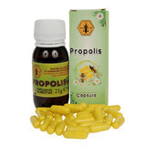 Propoli, 30 capsule, Institutul Apicol