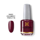 Vernis à ongles Bluesky Dried Cranberry 15ml