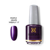 Bluesky Purple Grape Nail Polish 15ml