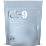 Polvere decolorante Ice 9 Extreme Blonde 500gr