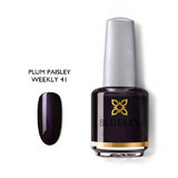 Bluesky Plum Paisley Nail Polish 15ml