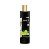 Ayurmed Amla Shampoo Deluxe 250 ml
