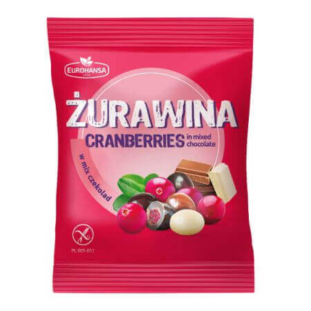 Blueberries in chocolate mix, 70g, Eurohansa