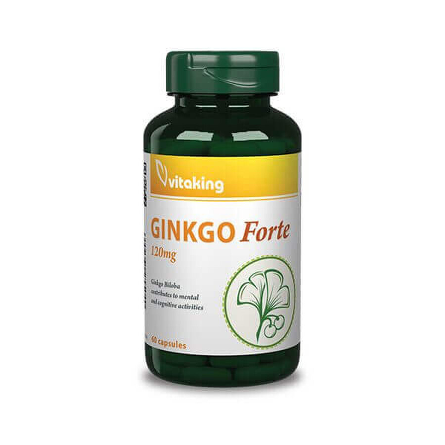 Gingo Forte 120 mg x 60 cps, Vitaking