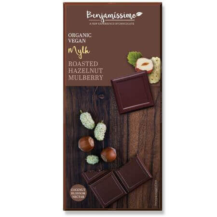 Bio cioccolato con nocciole e gelsi, 70 g, Benjamissimo