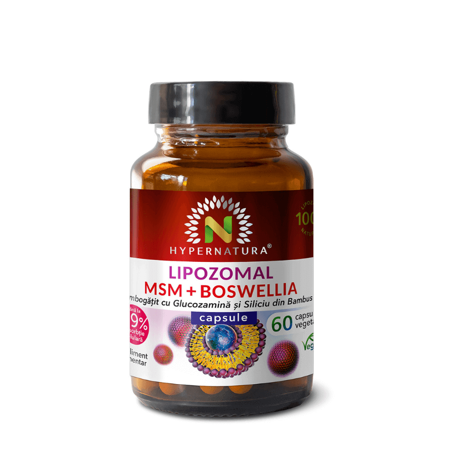 Lipozomal MSM + Boswellia + Glucosamine + Organic Silicon, 60 capsules, Hypernatura