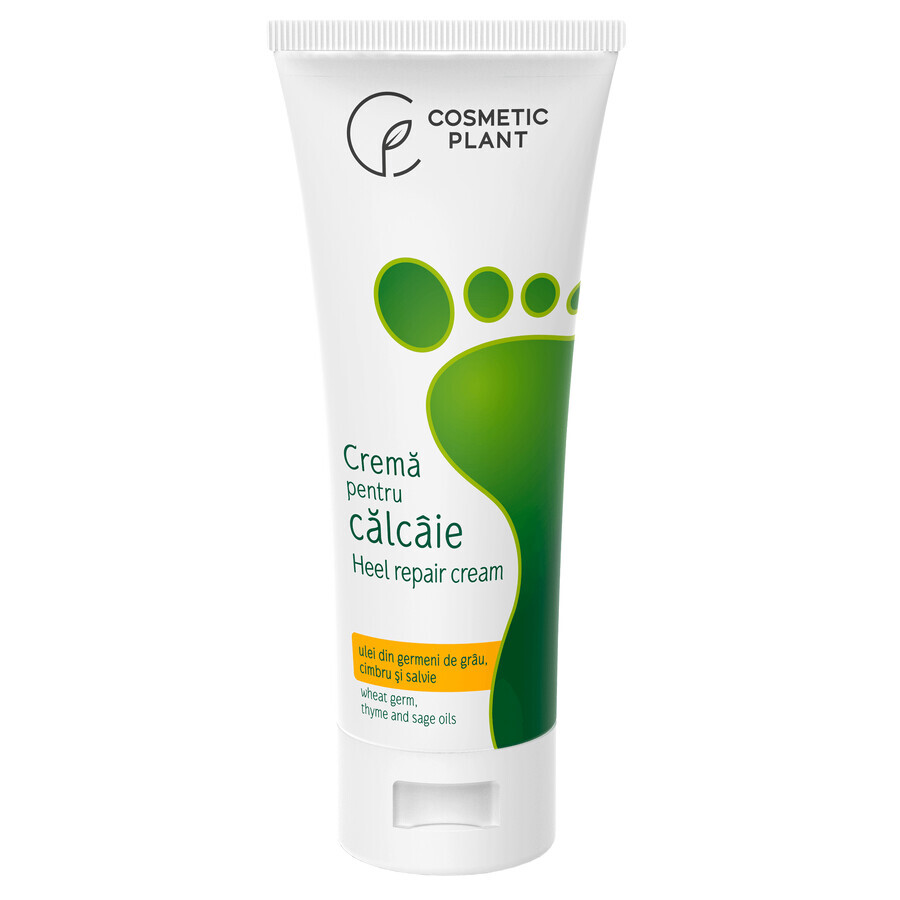 Crema per talloni con olio di germe di grano, timo e salvia, 100 ml, pianta cosmetica