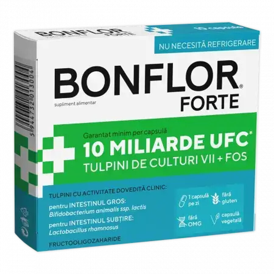 Bonflor Forte, 10 capsule, Fiterman Pharma