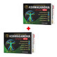 Confezione Ashwagandha KSM-66, 30 capsule vegetali + sconto 50% sul secondo prodotto, Cosmopharm