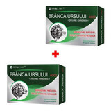 Branca Ursului confezione da 4000, 30+30 capsule vegetali, Cosmopharm