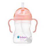 Straw can, +6 months, 240 ml, Tutti Frutti, BBOX