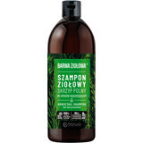 Barwa Shampoo against hair loss with horsetail, 480 ml