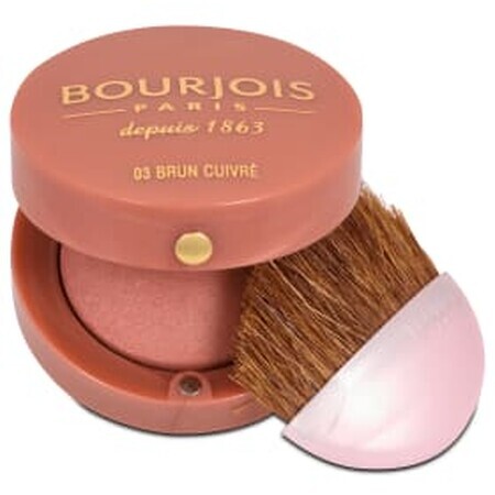 Buorjois Paris Blush 03 Marrone Rame, 2,5 g