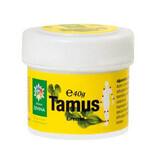 Tamus Cream, 40 g, Divine Star