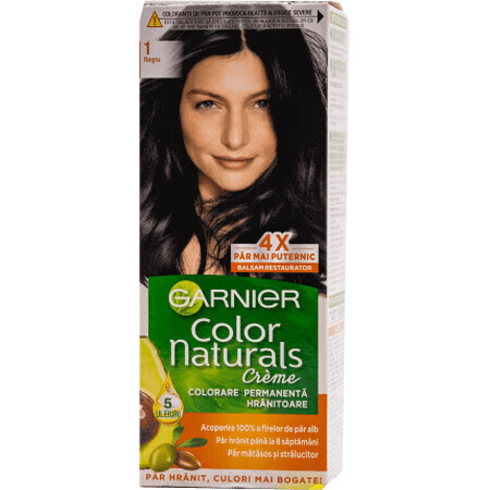 Color Naturals Permanentes Haarfärbemittel 1 schwarz, 1 Stück