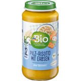 DmBio Menù Vegetariano Risotto Funghi e Piselli ECO 12+, 250 g