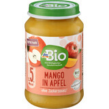 DmBio Purea di mango e mela 5+, 190 g