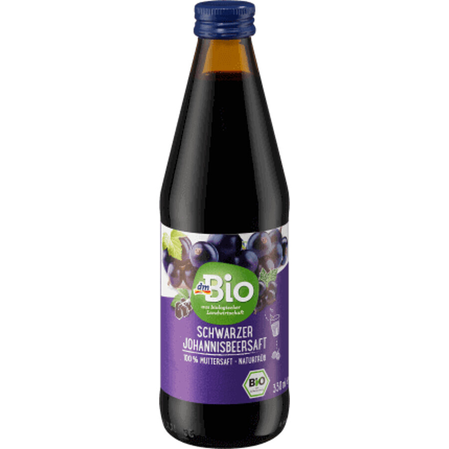 Succo di ribes DmBio ECO, 330 ml