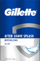 Gillette Schiuma dopobarba, 100 ml