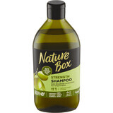 Nature Box Shampoo per capelli con olio d'oliva, 385 ml