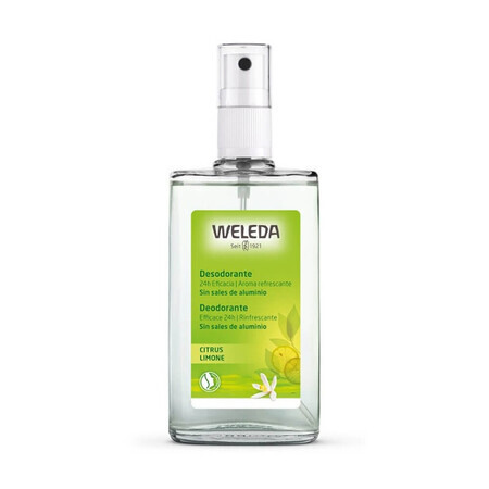 Desodorante con cítricos, 100ml, Weleda