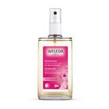 Weleda Rosa Mosqueta Deodorante Senza Sali Di Alluminio, 100ml