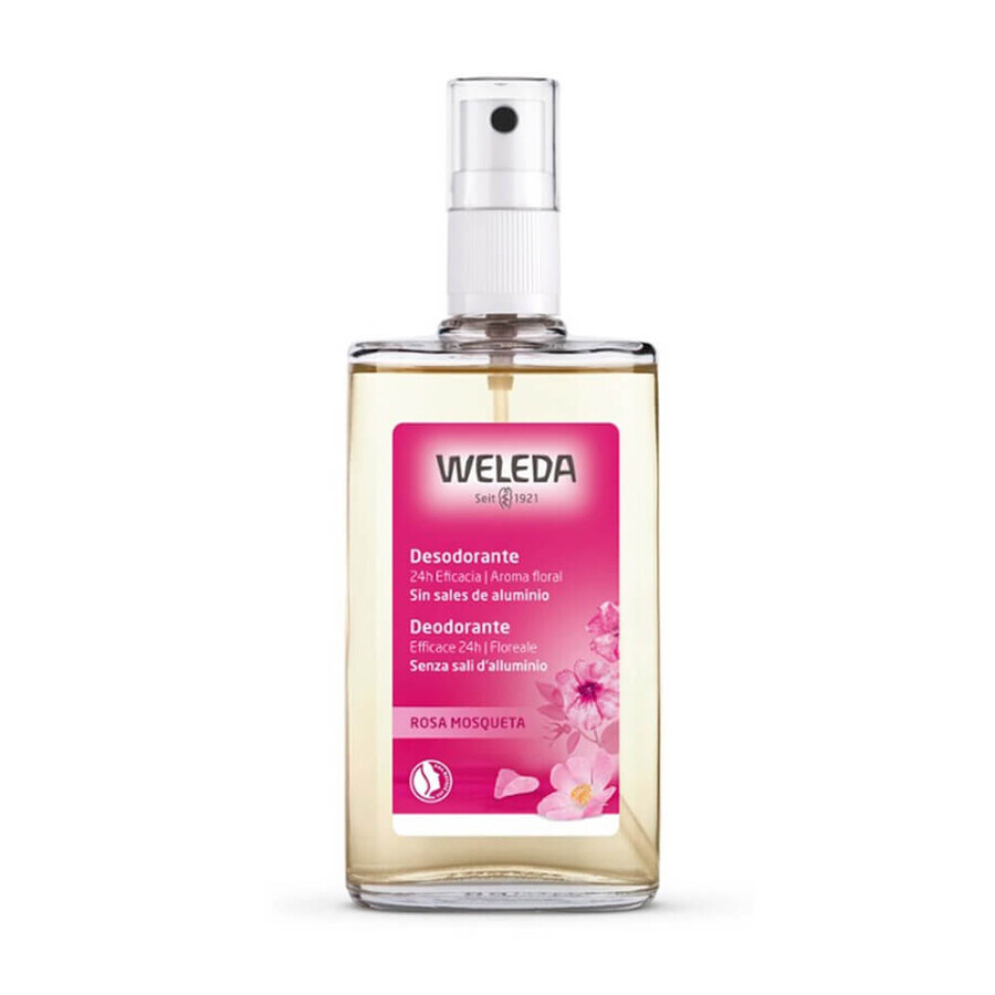 Weleda Rosa Mosqueta Deodorante Senza Sali Di Alluminio, 100ml