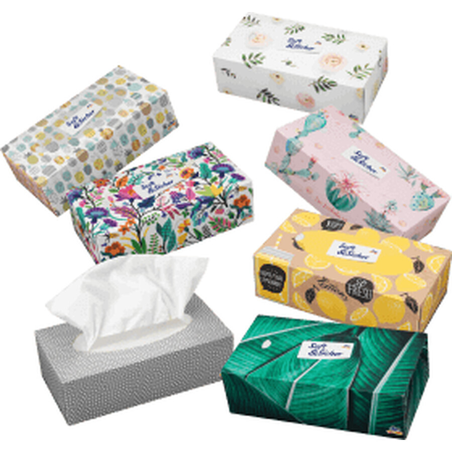 Soft&amp;Sicher Tissues box 100st 4-laags, 100 stuks