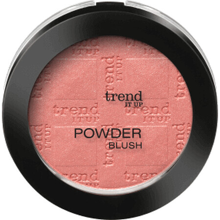 Trend !t up Powder Blush Rouge - No. 040, 5 g