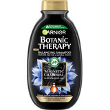 Garnier Botanic Therapy Shampoo Carbone magnetico e olio di semi neri, 250 ml