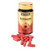 Echinacea 590mg, 60 capsule, Solo Naturale