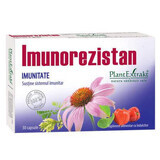 Immunorezistan Immunity, 30 capsule, Plant Extrakt