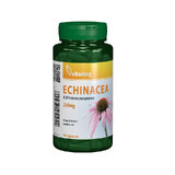 Estratto di Echinacea 250 mg, 90 capsule, Vitaking