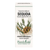 Estratto di germogli di sequoia, 50 ml, estratto vegetale